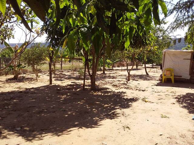 Chácara para Venda em Primavera do Leste - 5
