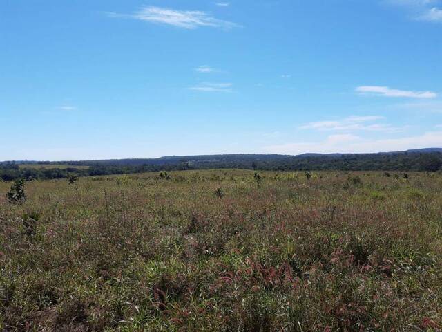 #154LGaiva - Fazenda para Venda em Primavera do Leste - MT - 3