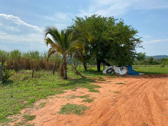 #166/CB - Chácara para Venda em Primavera do Leste - MT - 1