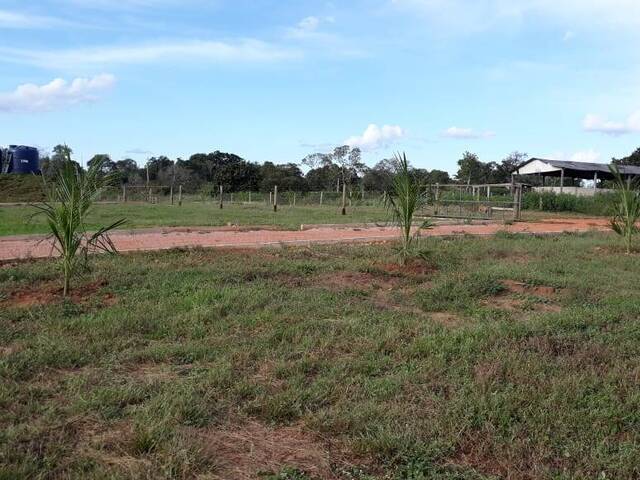 #169LGAIVA - Fazenda para Venda em Primavera do Leste - MT - 1