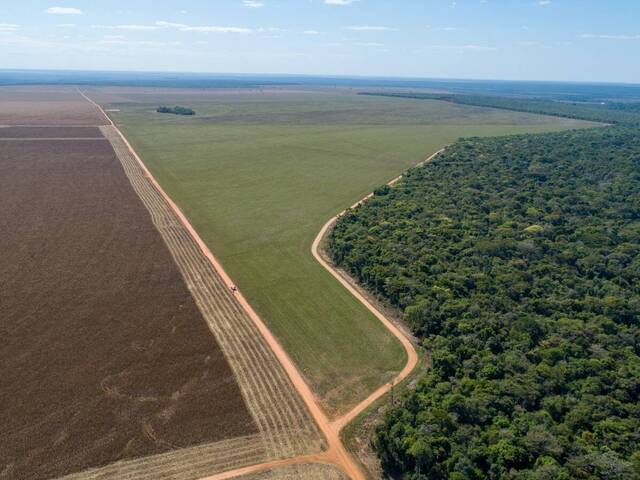 #278/CB - Chácara para Venda em Campo Novo do Parecis - MT - 3