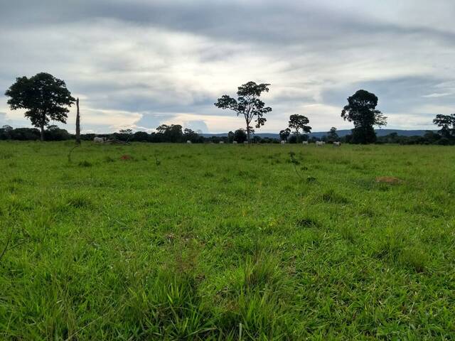 Chácara para Venda em Rondonópolis - 4