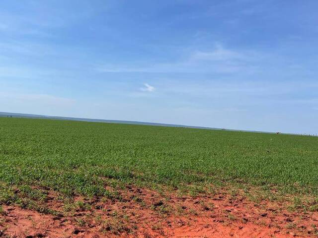 #401walison - Fazenda para Venda em Primavera do Leste - MT